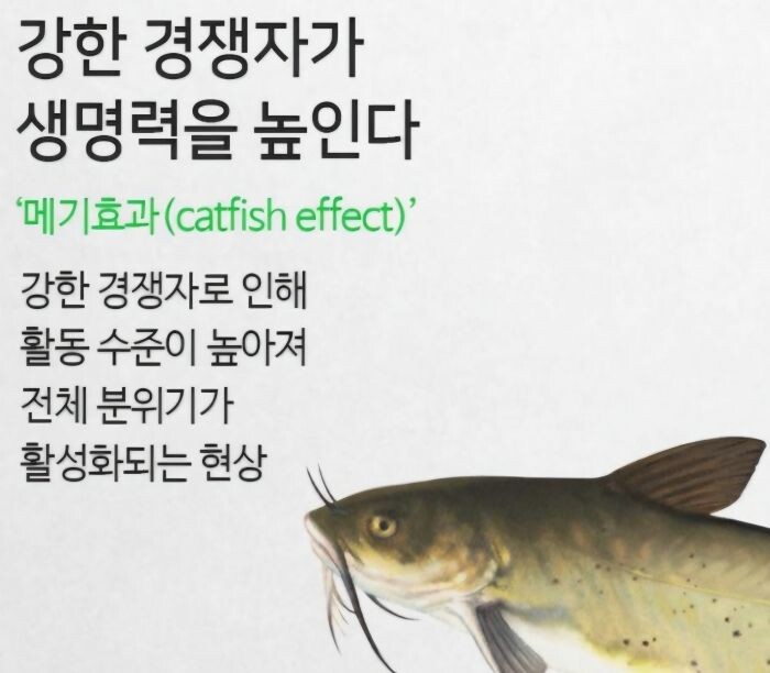 [김창권 칼럼]80년대생 '메기 리더'의 탄생, AI 시대를 이끈다